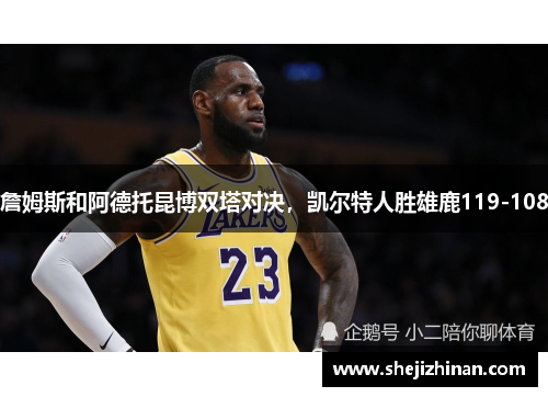 詹姆斯和阿德托昆博双塔对决，凯尔特人胜雄鹿119-108